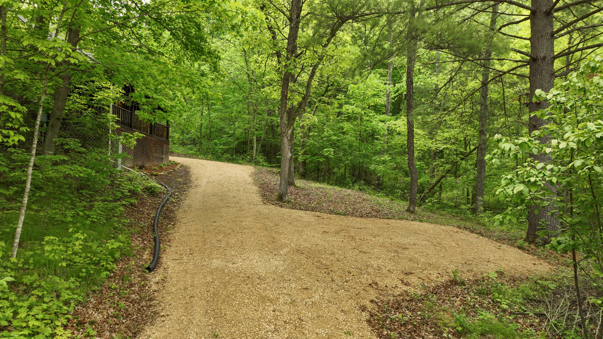 Rustic Cabin in the Woods for Sale in Vernon County, Wisconsin