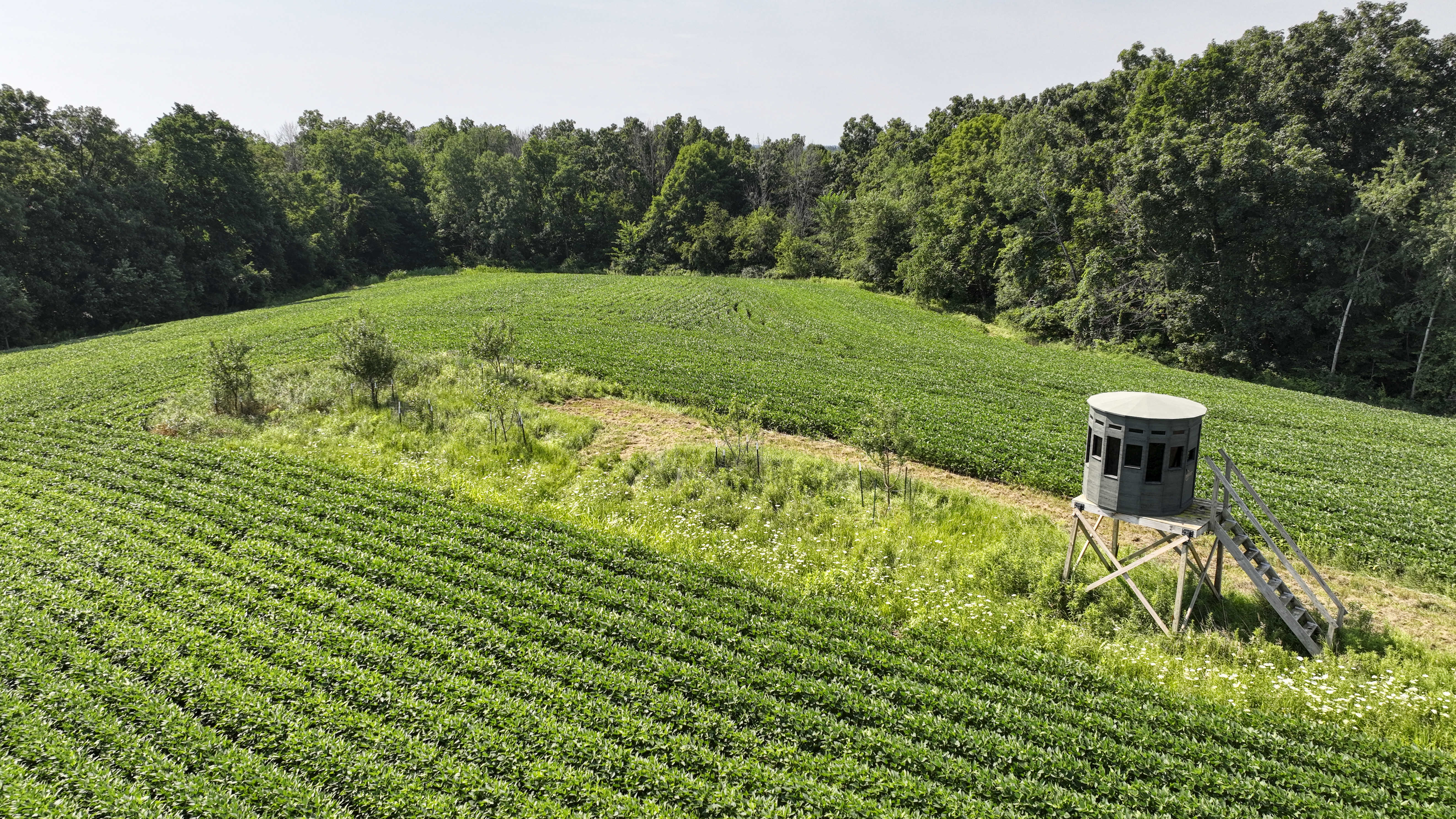 65-acre trophy whitetail and turkey hotspot