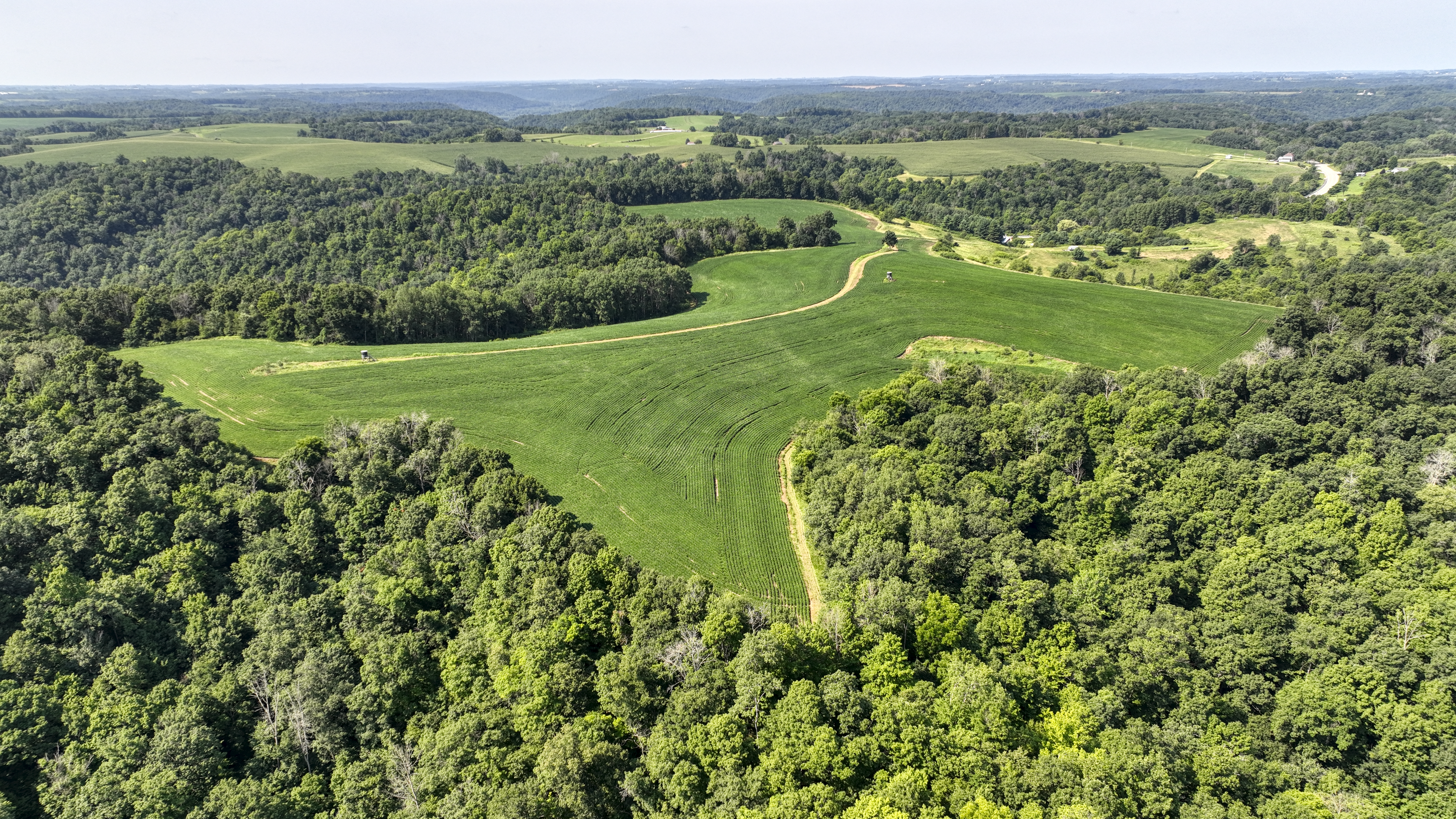 65-acre trophy whitetail and turkey hotspot
