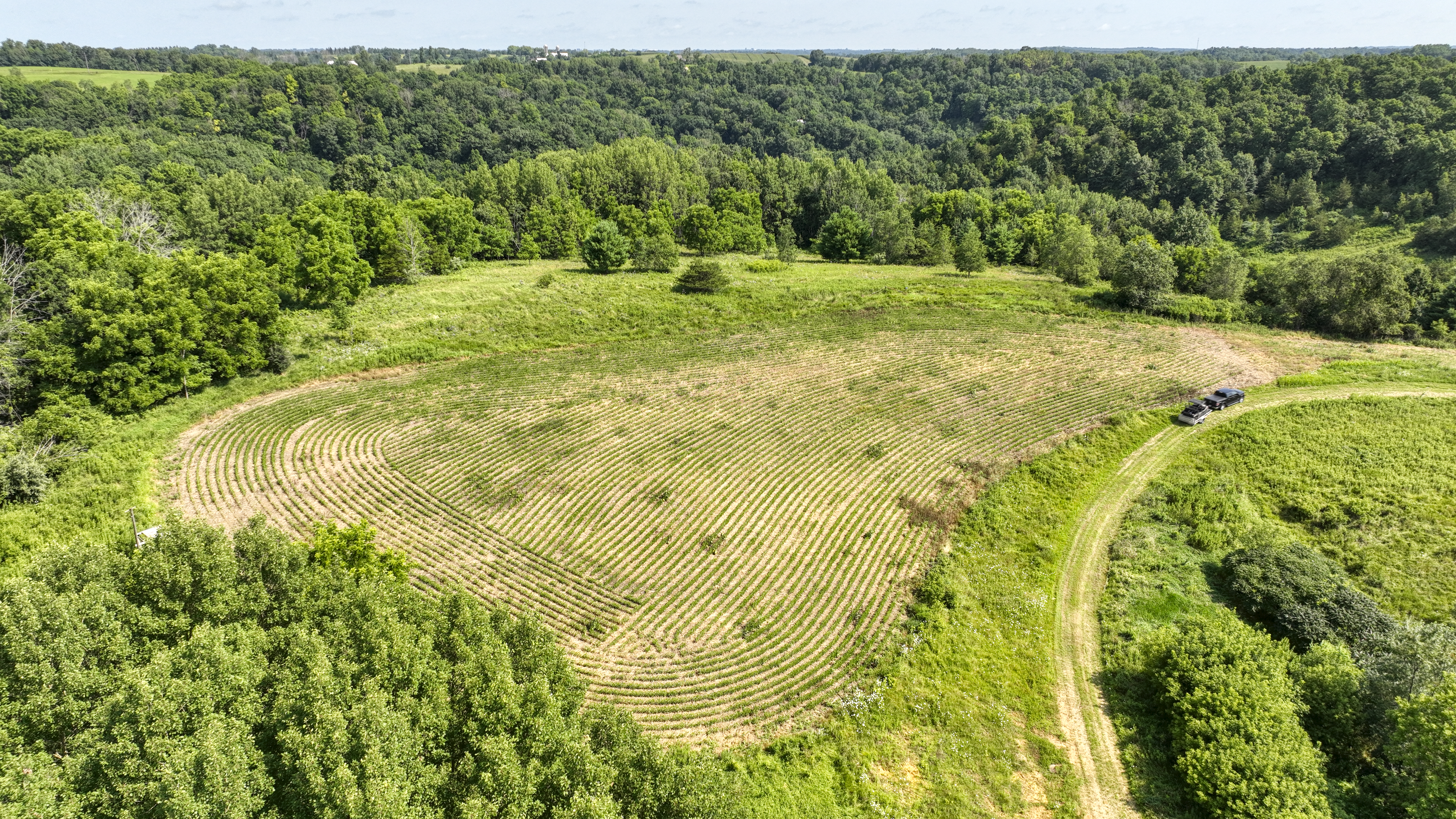 65-acre trophy whitetail and turkey hotspot