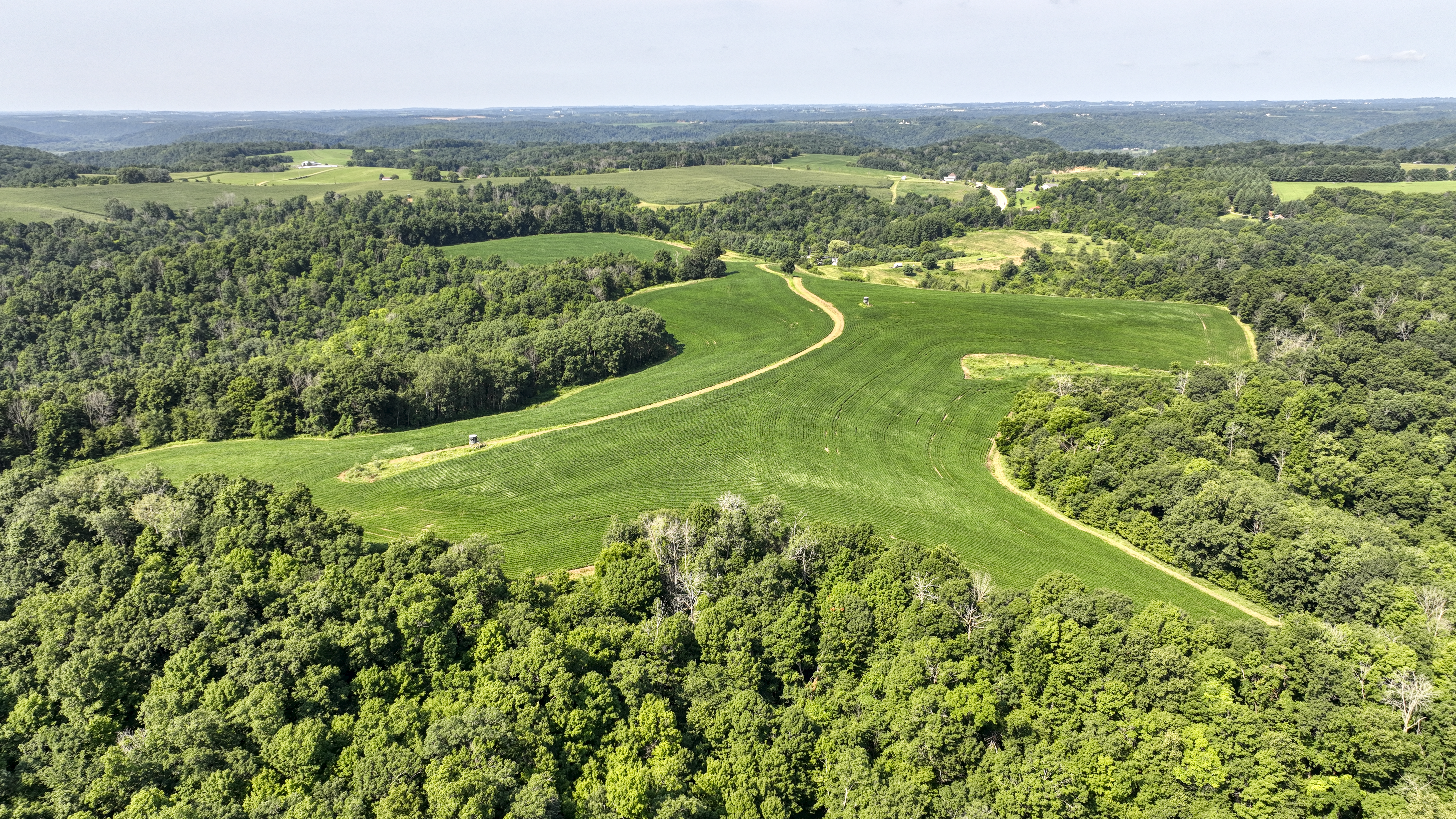 65-acre trophy whitetail and turkey hotspot