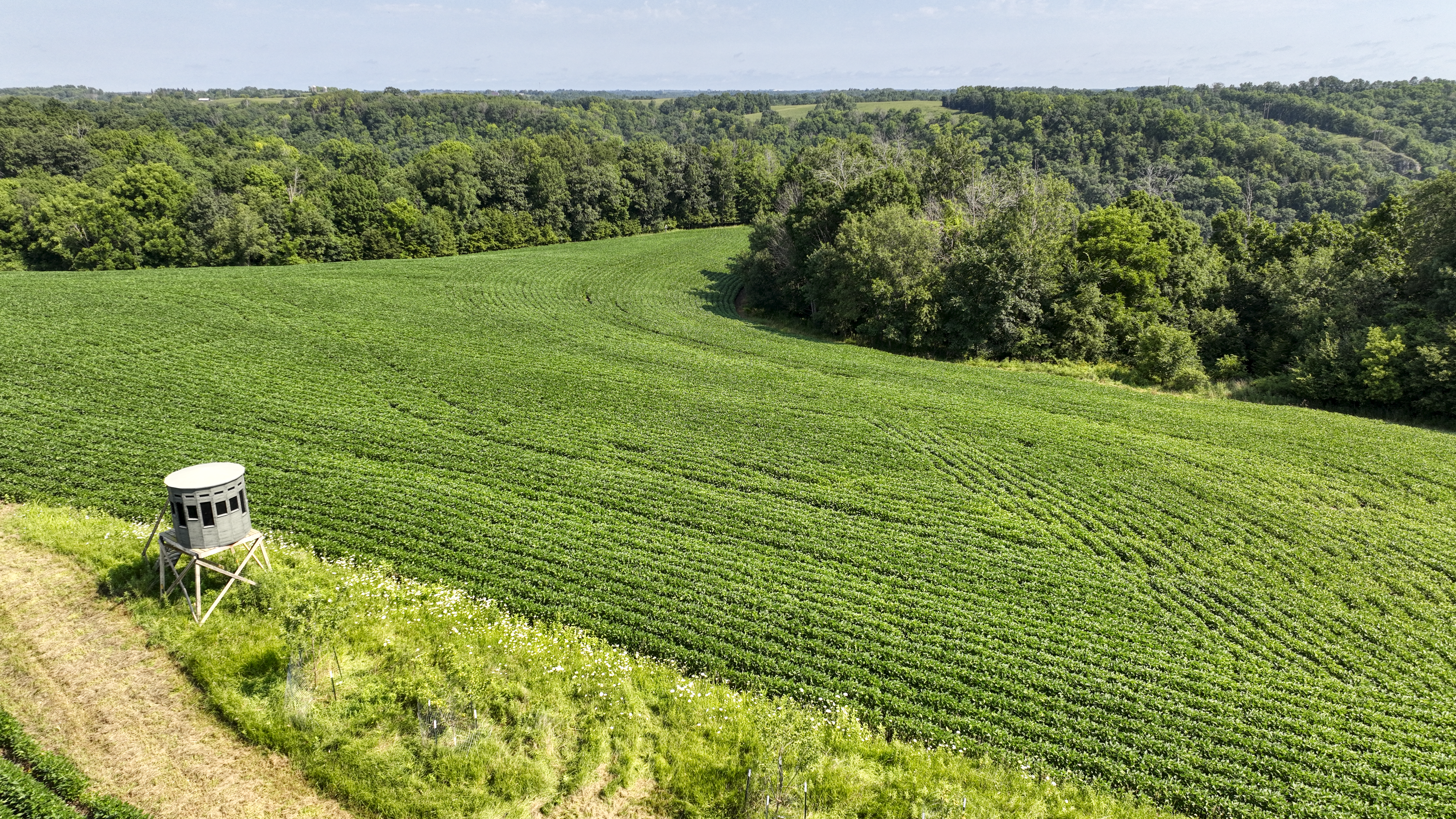 65-acre trophy whitetail and turkey hotspot