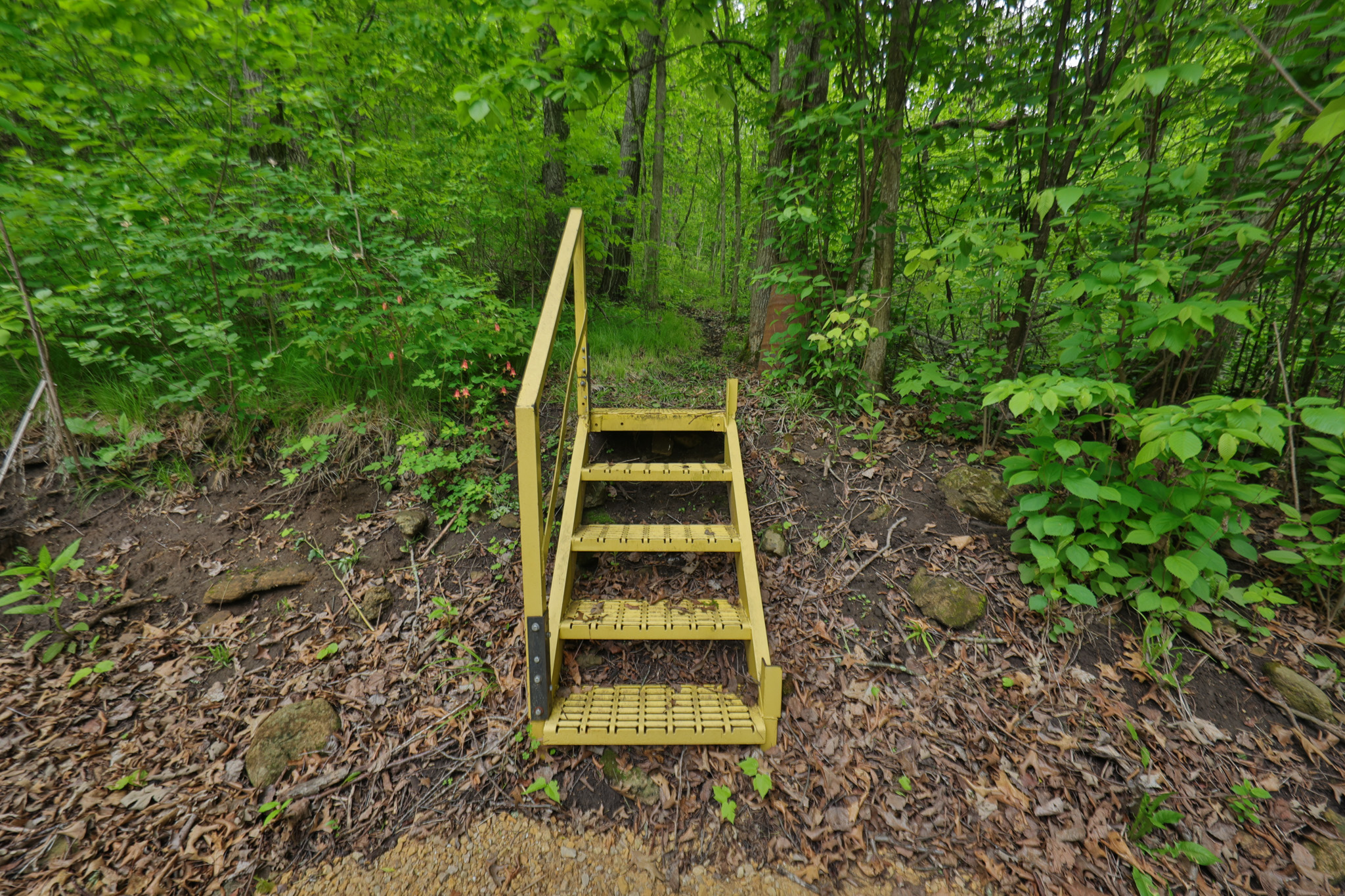 Rustic Cabin in the Woods for Sale in Vernon County, Wisconsin