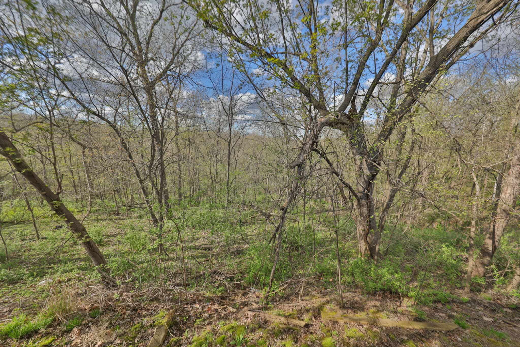 Mississippi River Hilltop Cabin for Sale in Crawford County, WI