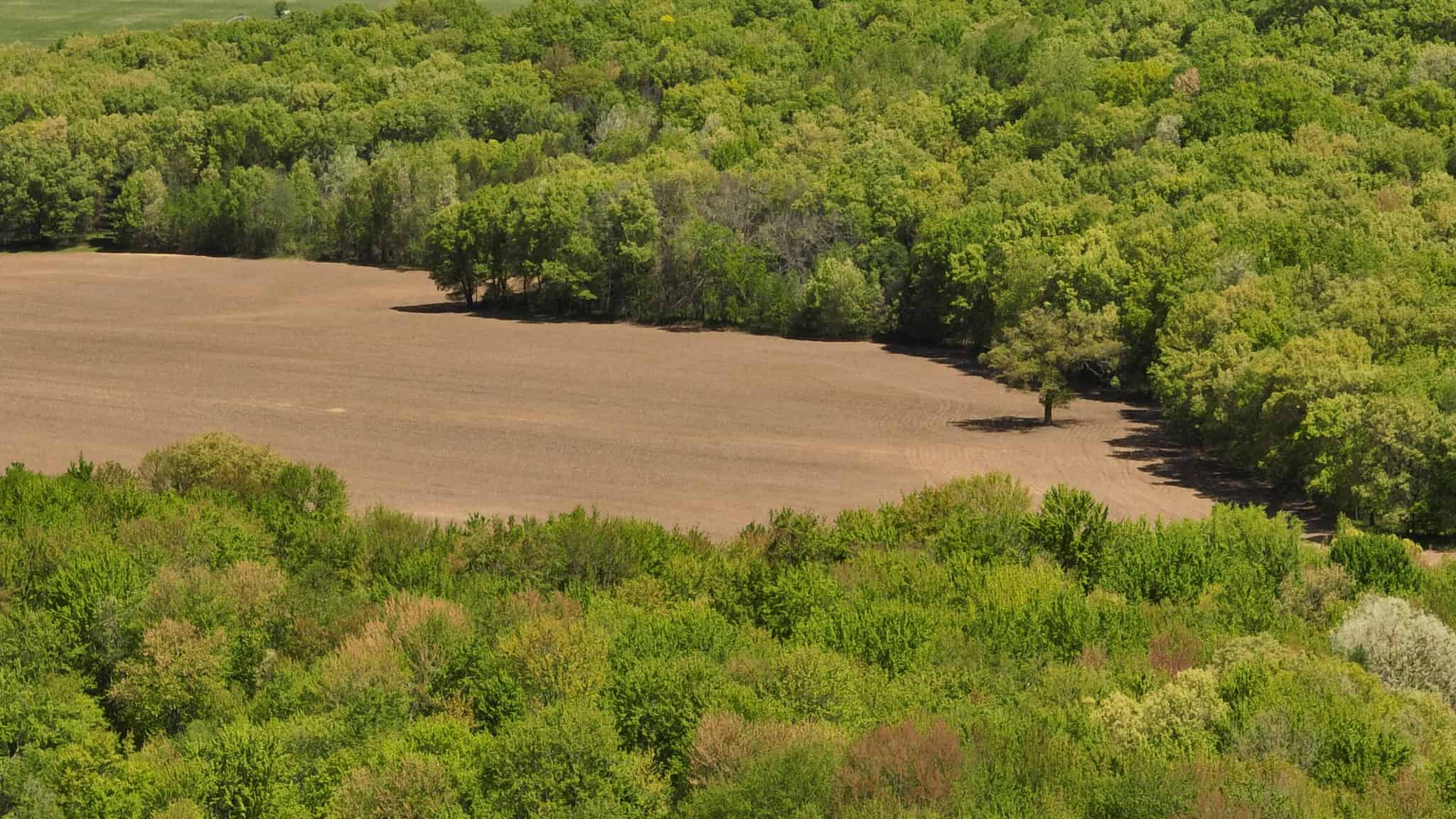 Premier Farmstead for Sale in Juneau County, Wisconsin