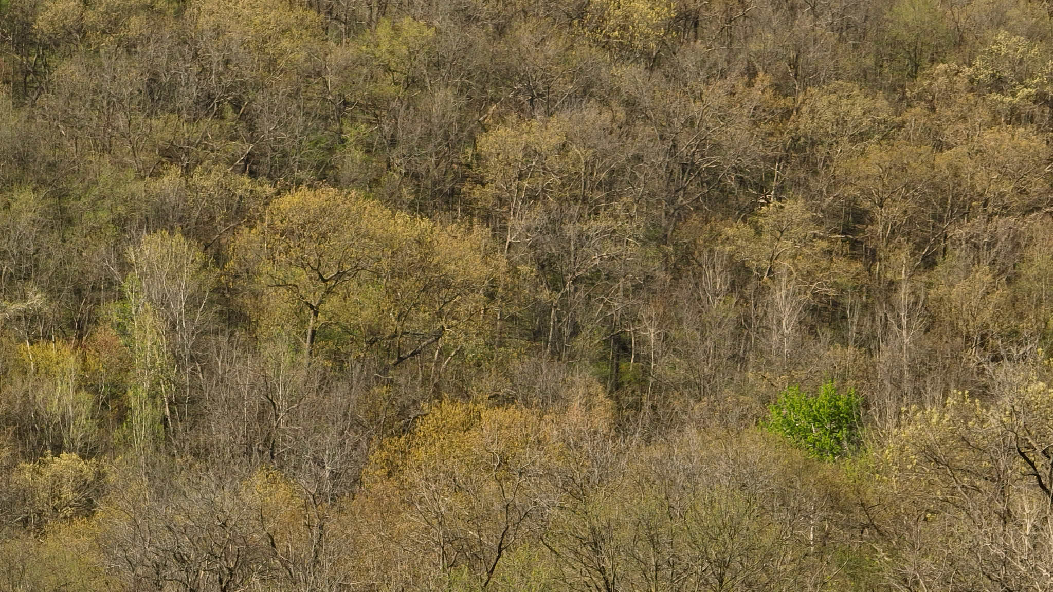 Mississippi River Hilltop Cabin for Sale in Crawford County, WI