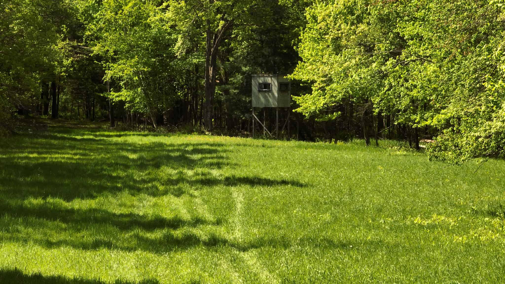 Premier Farmstead for Sale in Juneau County, Wisconsin