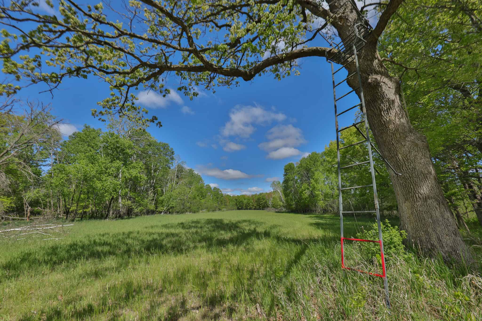 Premier Farmstead for Sale in Juneau County, Wisconsin