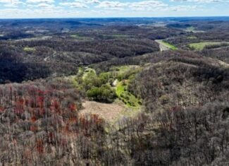 66+/- Acre Buildable Recreational Retreat – Mindoro, WI | La Crosse County