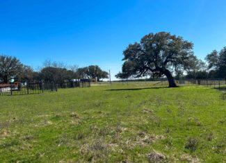 Serene 40 Acres in Central Texas