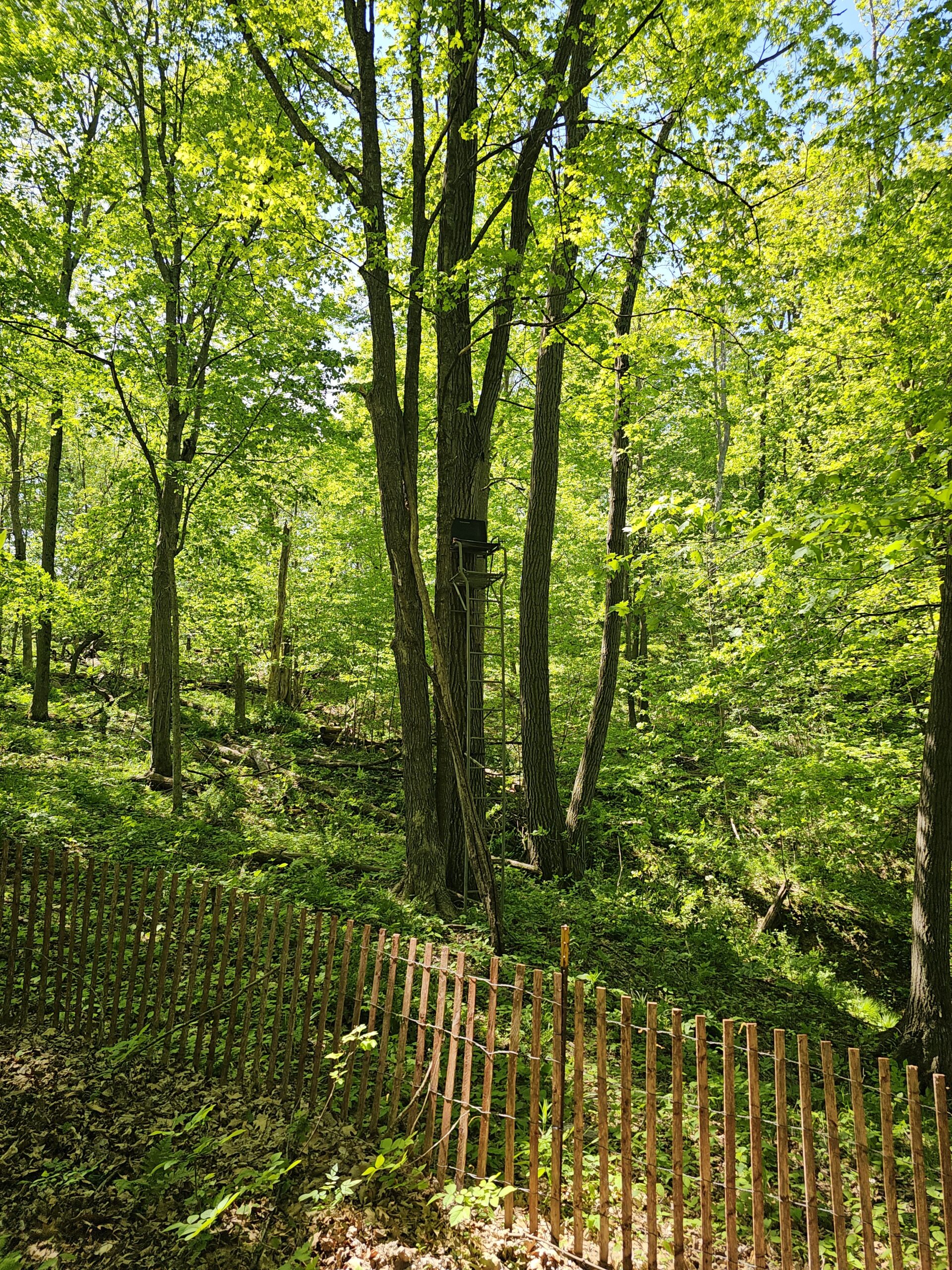 65-acre trophy whitetail and turkey hotspot