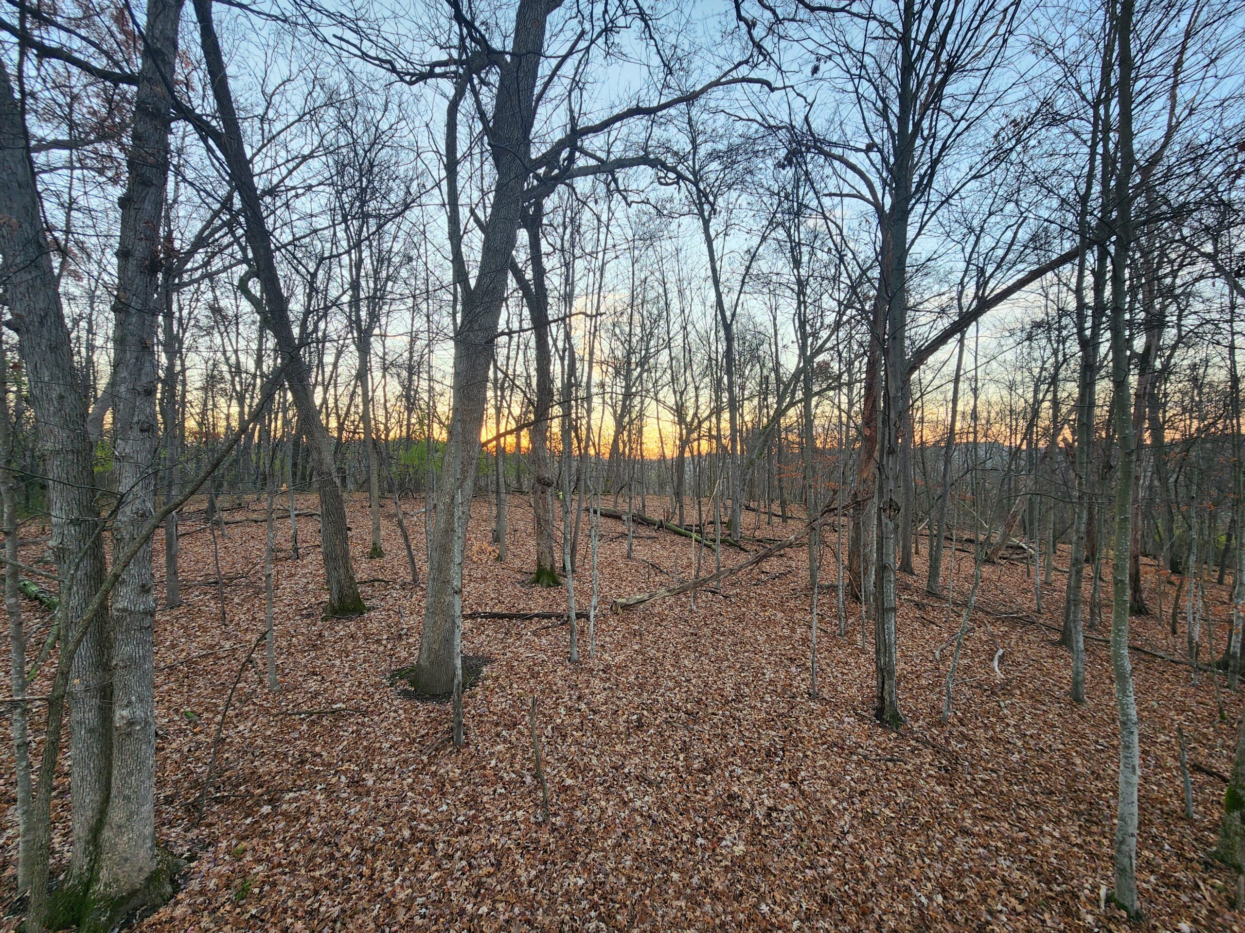 Rustic Cabin in the Woods for Sale in Vernon County, Wisconsin