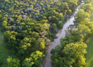 32-Acre Live Water Property with Leon River Frontage in Gatesville, TX