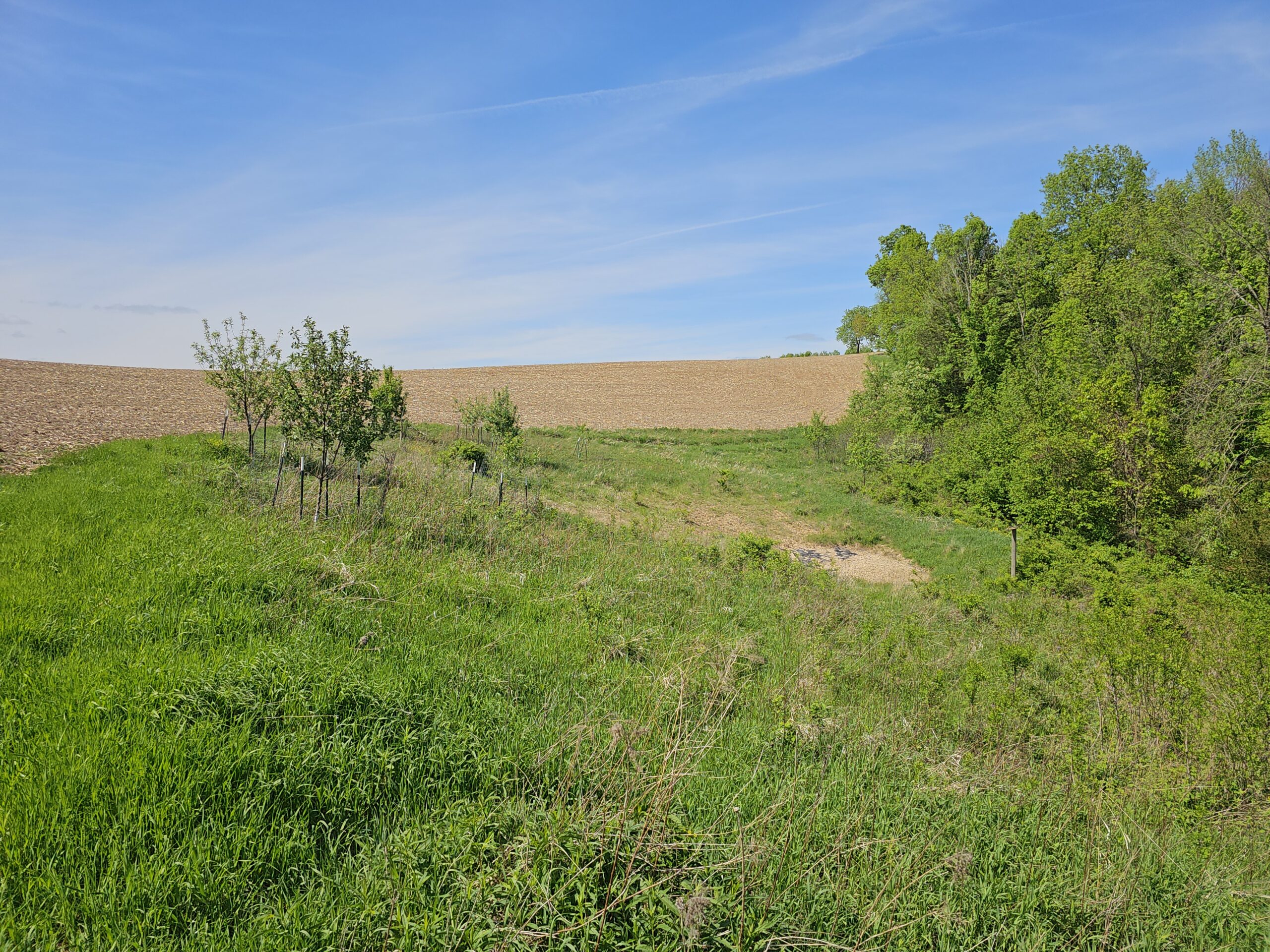 65-acre trophy whitetail and turkey hotspot