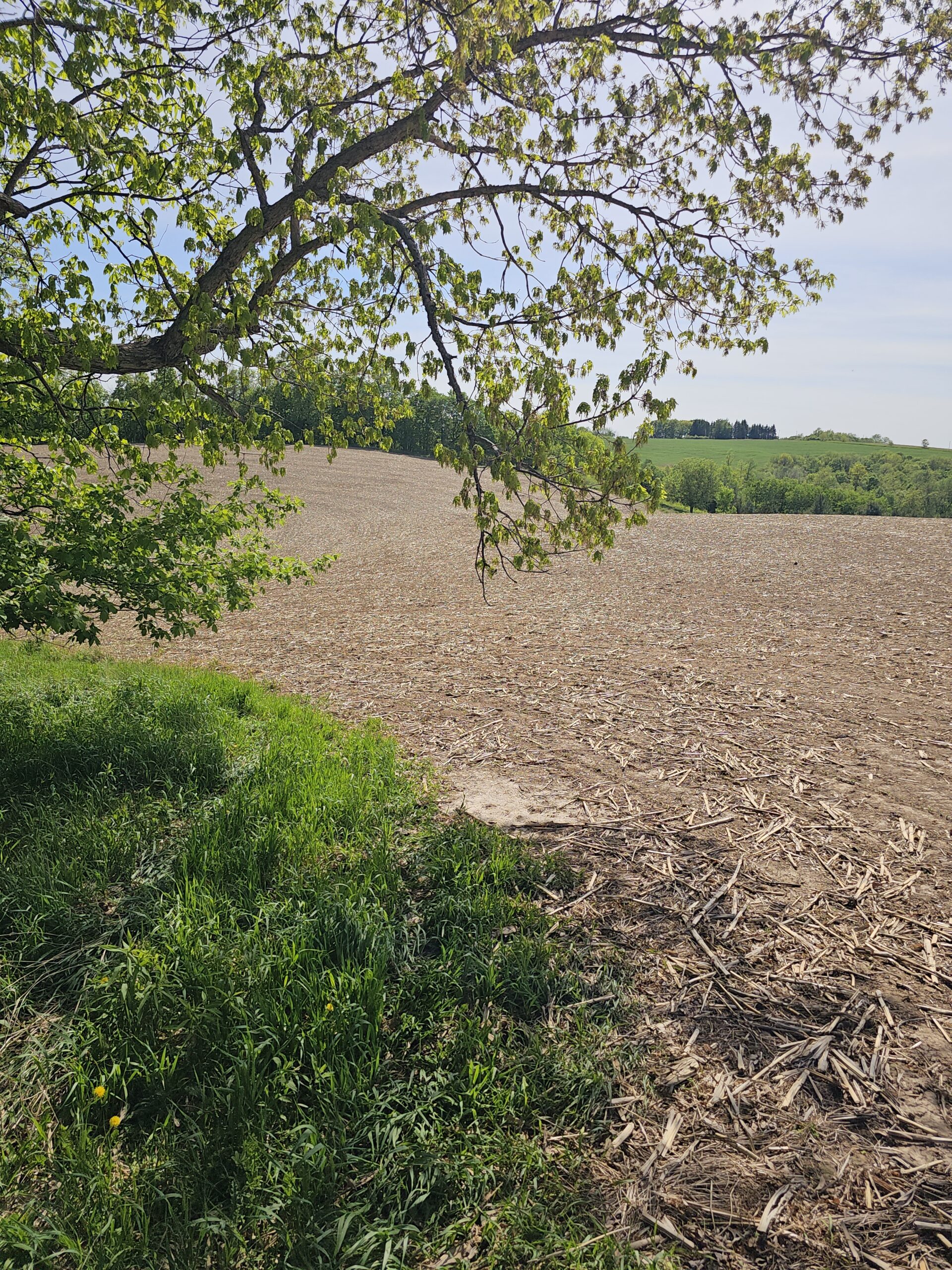 65-acre trophy whitetail and turkey hotspot
