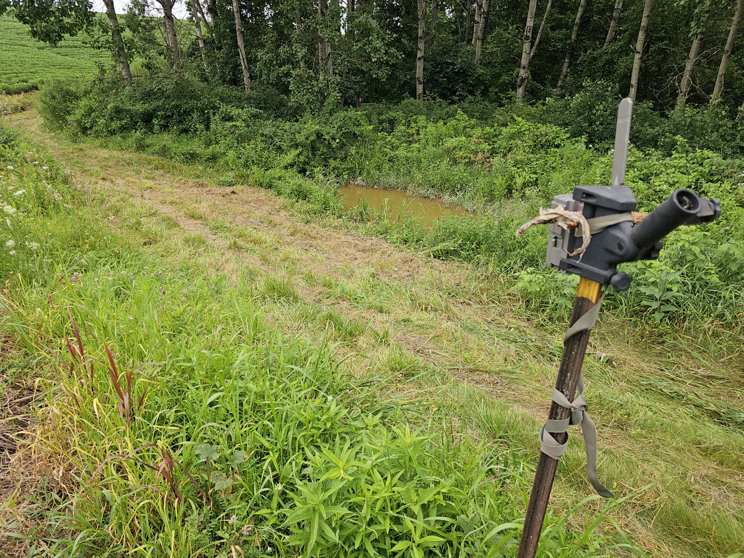 65-acre trophy whitetail and turkey hotspot