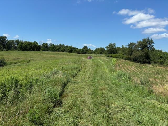 65-acre trophy whitetail and turkey hotspot