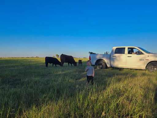 51.01 Acres for Sale in Gatesville, TX – Gated Entrance, Pond, and Stunning Views