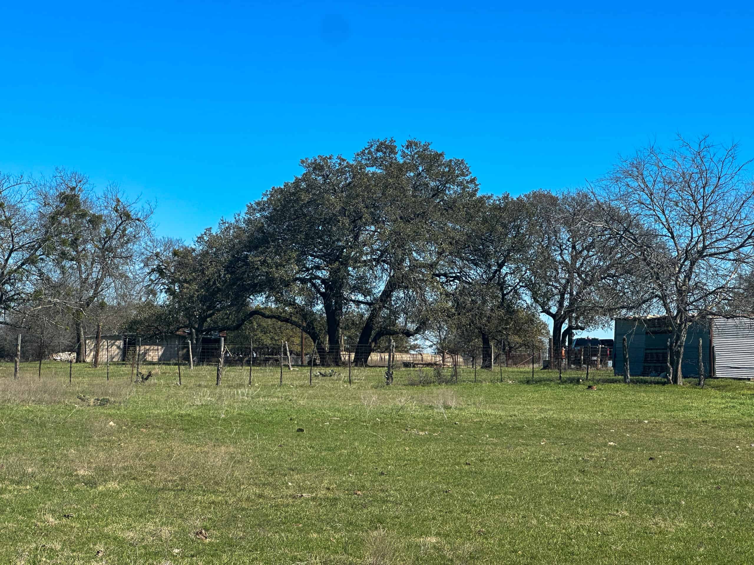Serene 40 Acres in Central Texas