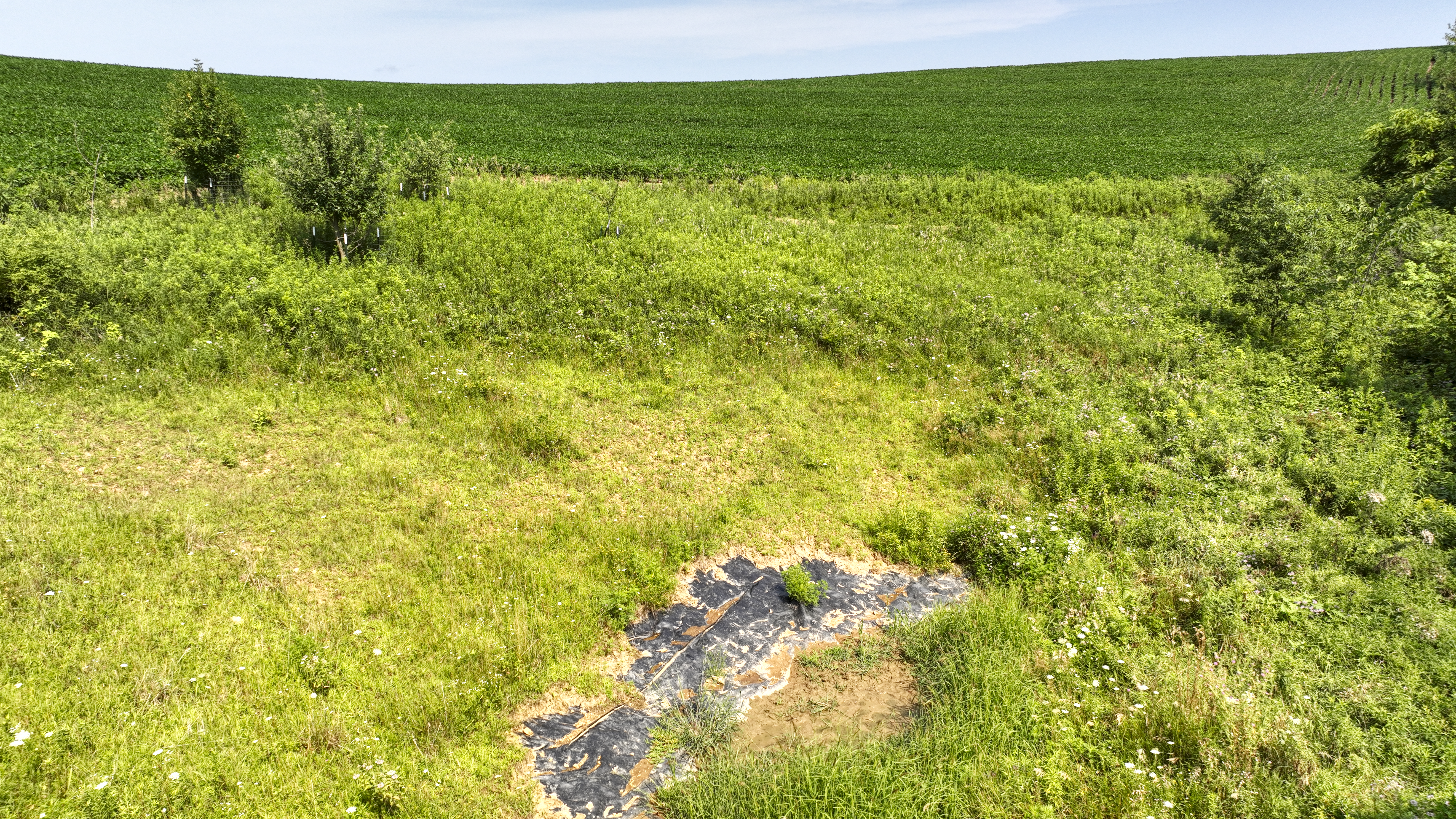 65-acre trophy whitetail and turkey hotspot
