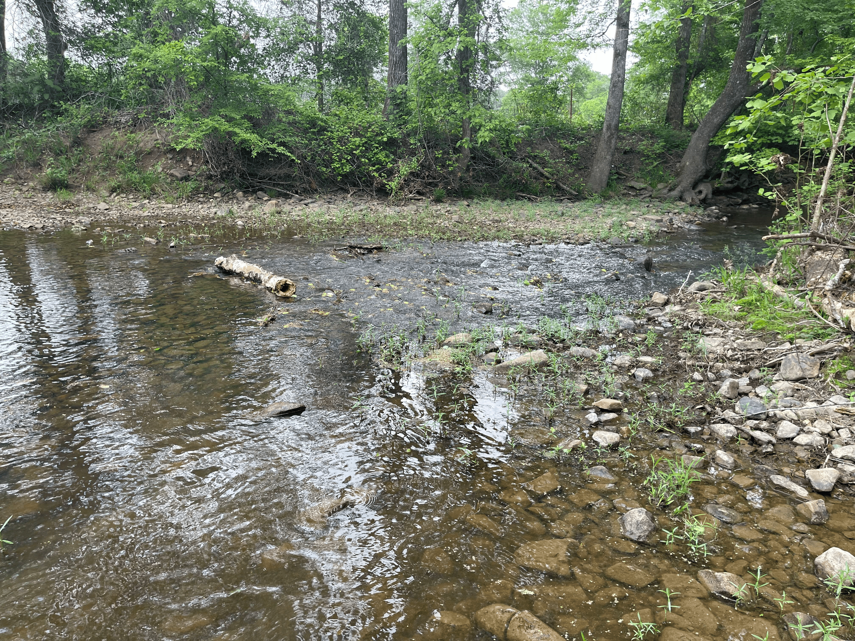 Secluded 100 Acre Mol Ranch in McCurtain County OK