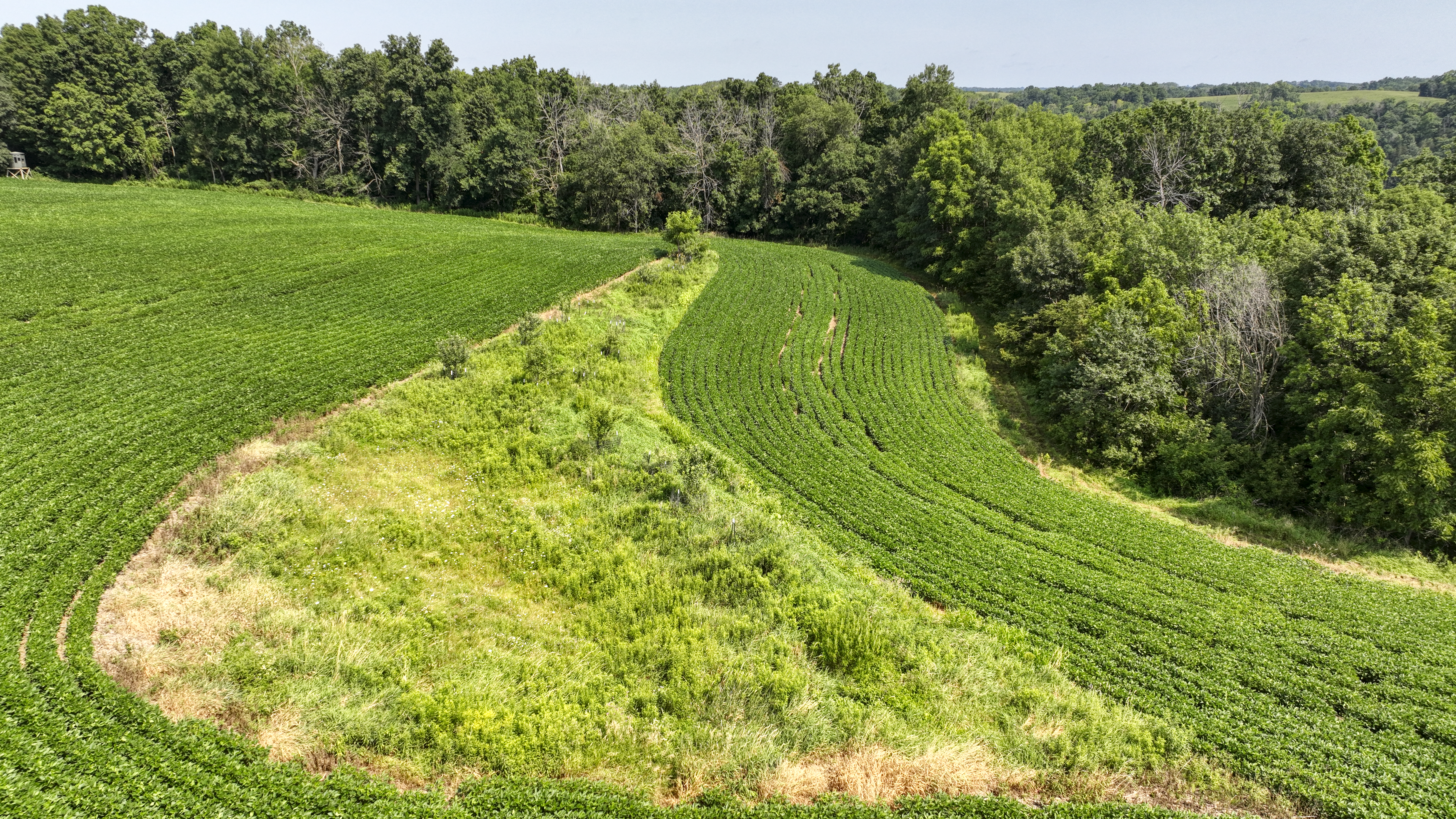 65-acre trophy whitetail and turkey hotspot