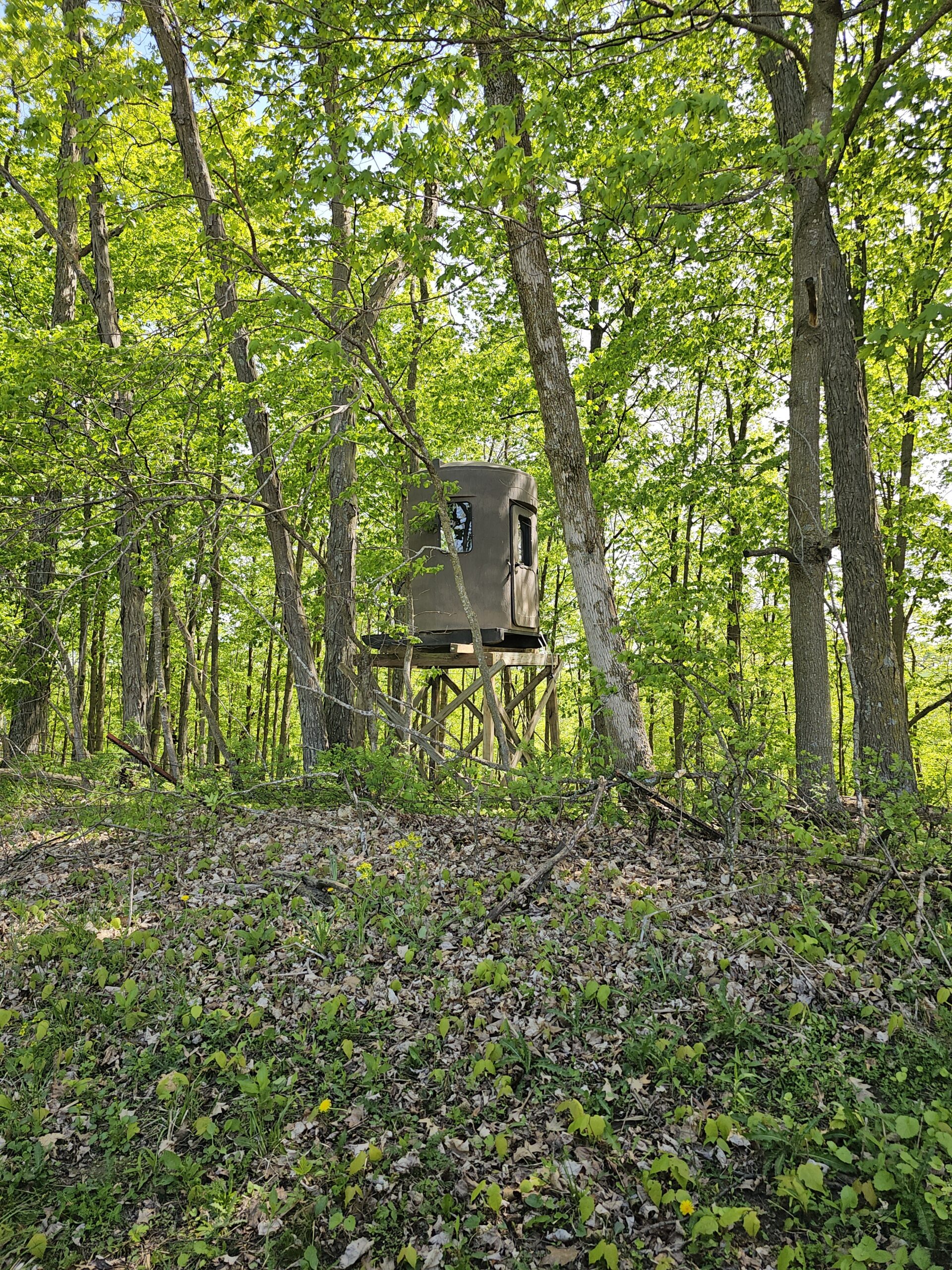 65-acre trophy whitetail and turkey hotspot