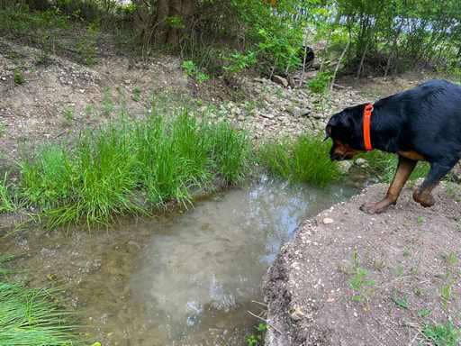 51.01 Acres for Sale in Gatesville, TX – Gated Entrance, Pond, and Stunning Views