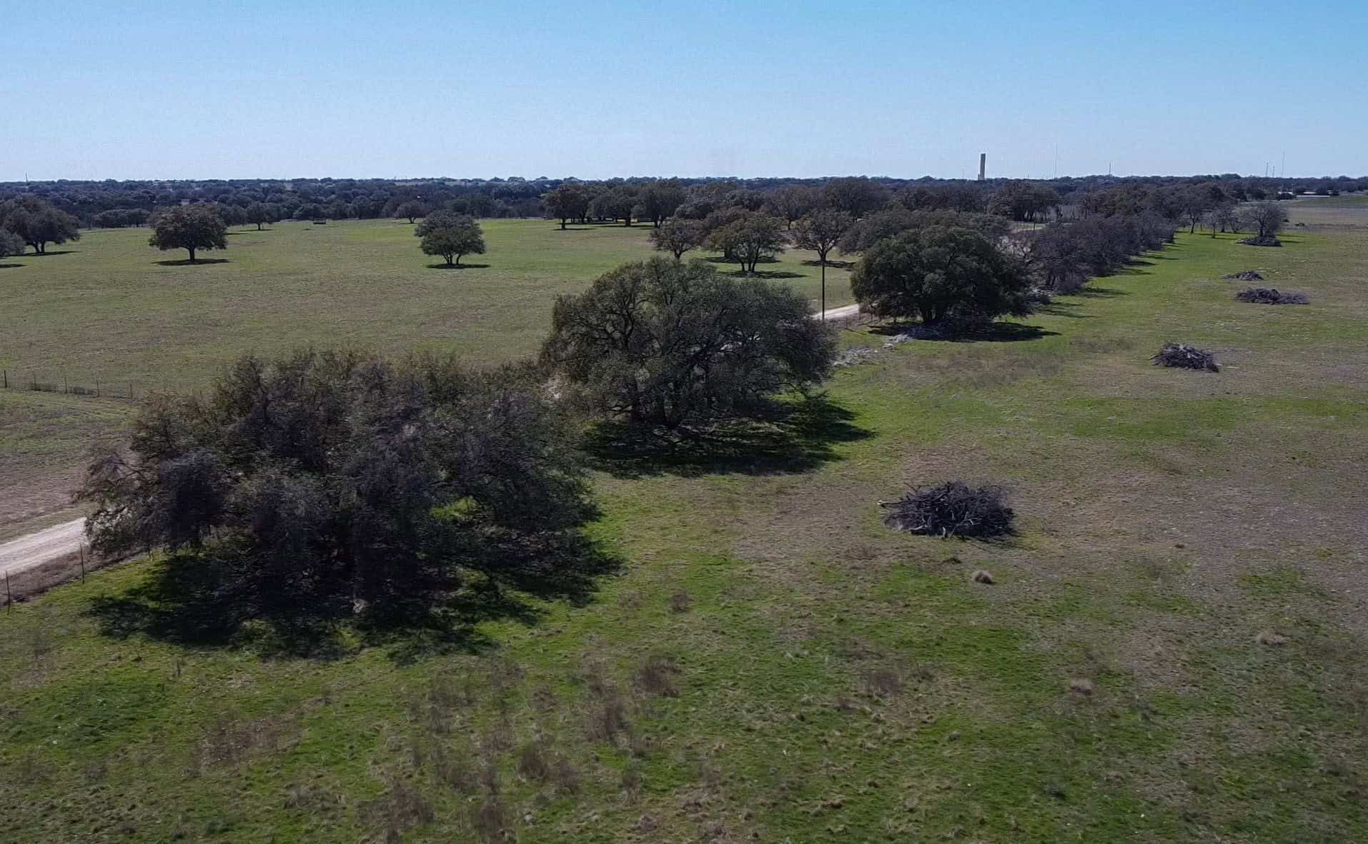 Serene 40 Acres in Central Texas