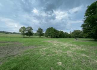 Secluded 100 Acre Mol Ranch in McCurtain County OK