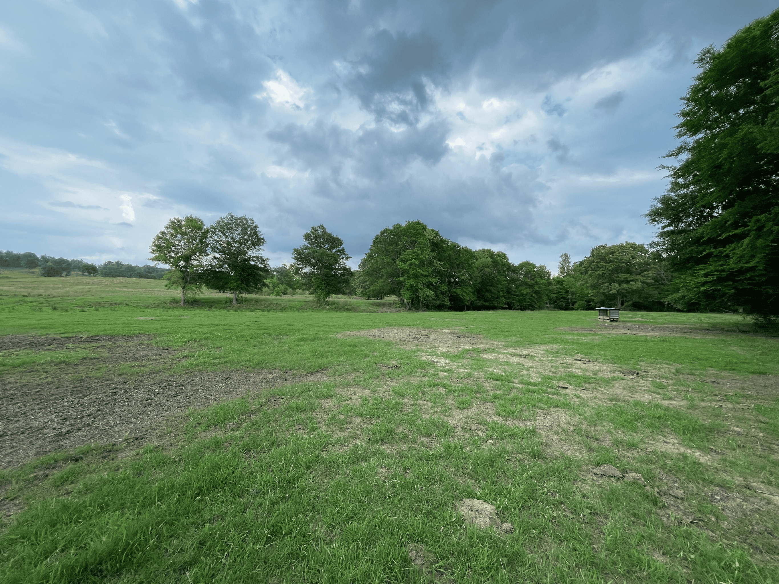 Secluded 100 Acre Mol Ranch in McCurtain County OK