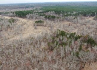 Juneau County WI 360 Acre Outdoor Paradise