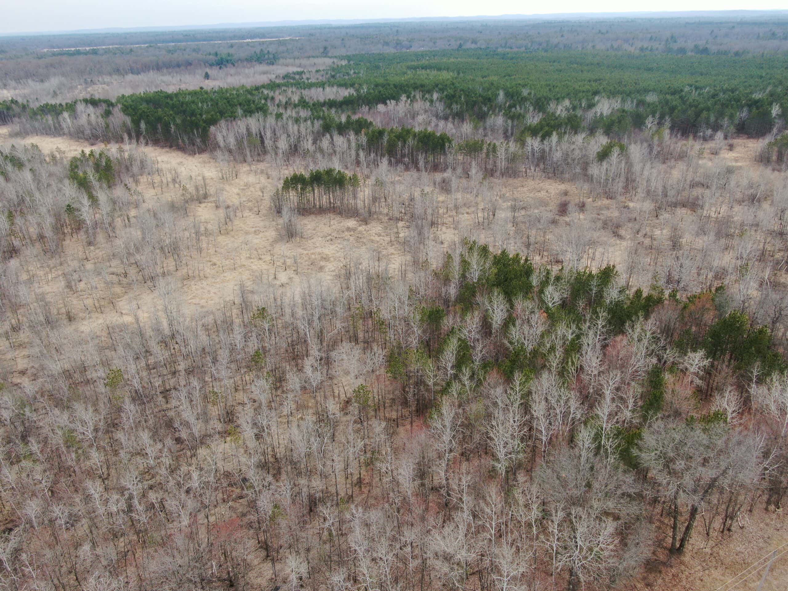 Juneau County WI 360 Acre Outdoor Paradise
