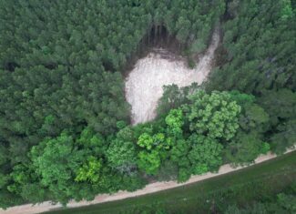 Secluded Land for Sale in Roxie – MS Hamburg Community Lot