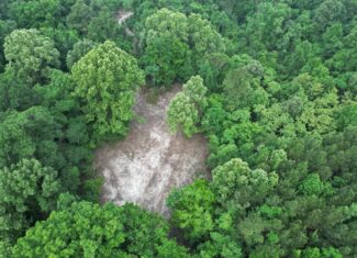 51 Acres of Hunting Land for Sale in Roxie, Mississippi