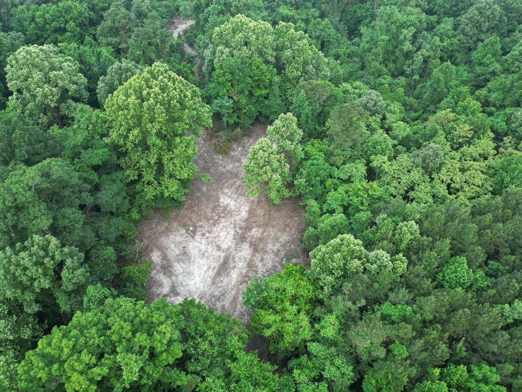51 Acres of Hunting Land for Sale in Roxie, Mississippi