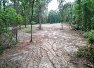 Hamburg 41: Hunting Land for Sale in Roxie, Mississippi