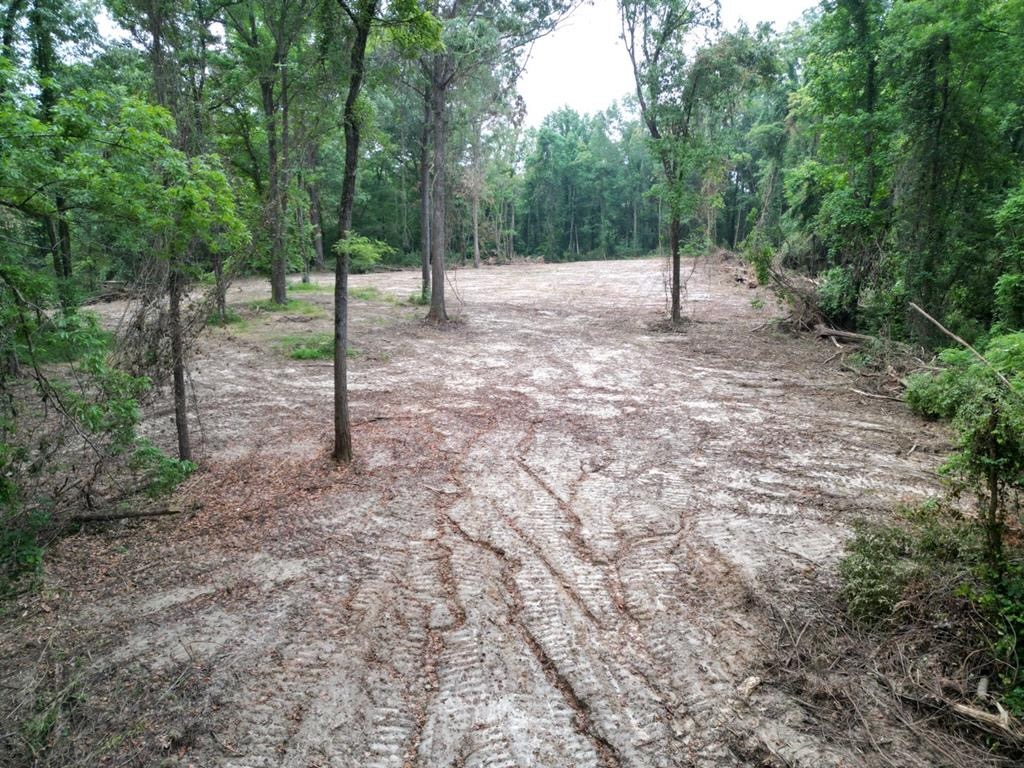 Hamburg 41: Hunting Land for Sale in Roxie, Mississippi