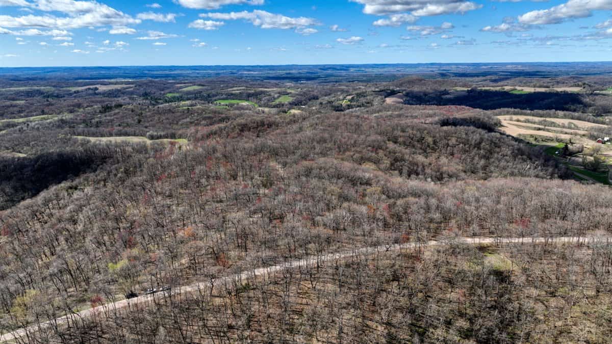 Premium 32+/- Acre Parcel in La Crosse County WI
