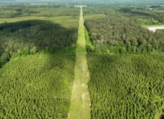 South Mississippi Hunting Paradise for Sale Amite County,MS