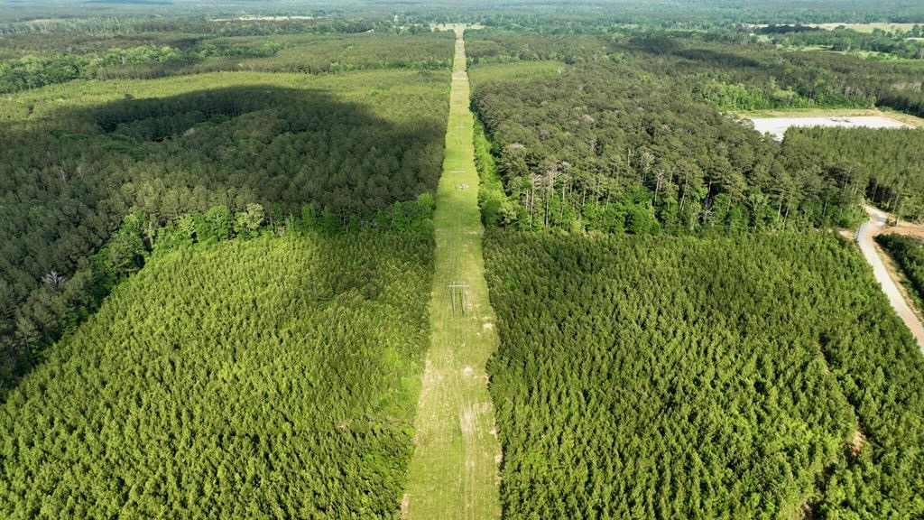 South Mississippi Hunting Paradise for Sale Amite County,MS