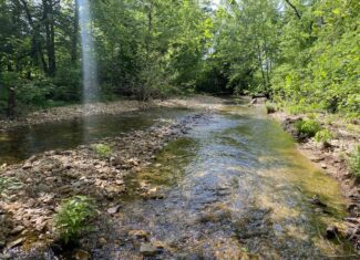 LAND FOR SALE IN TN, 39 AC+/-, CREEK, OPEN & WOODED, HUNTING