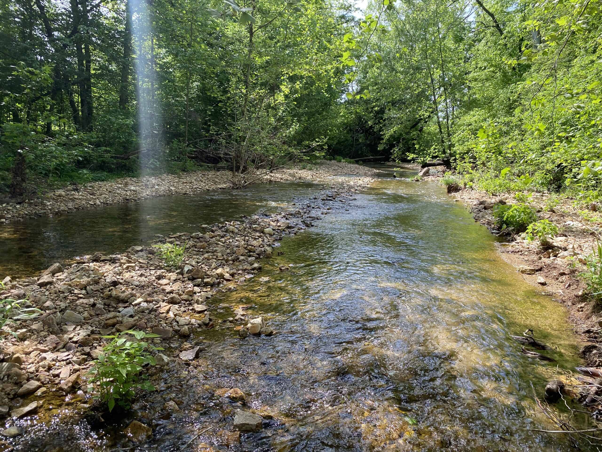 LAND FOR SALE IN TN, 39 AC+/-, CREEK, OPEN & WOODED, HUNTING