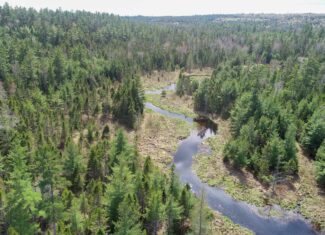 1206± Acres of Pristine Forestland
