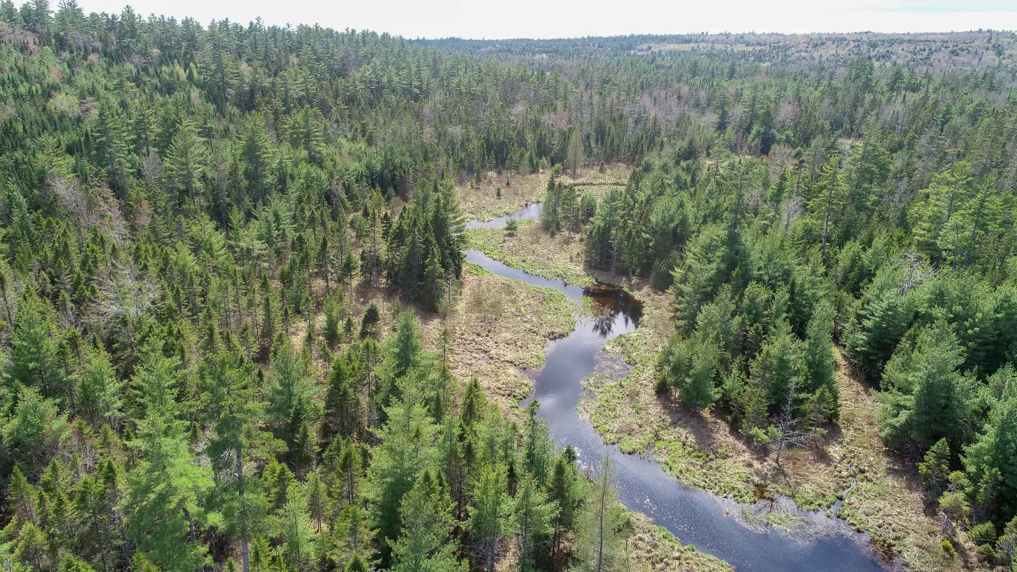 1206± Acres of Pristine Forestland