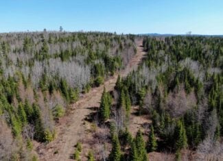 237 Acres of Prime Northern Maine Woods Land