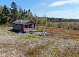 120± Acres of Land with Camp and Blueberry Field