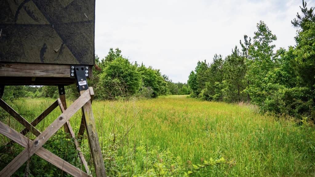 Hunting Land in Mousehouse Parish Near Bastrop, LA