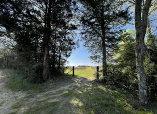 Recreational Ranch North of Houston near Grapeland TX