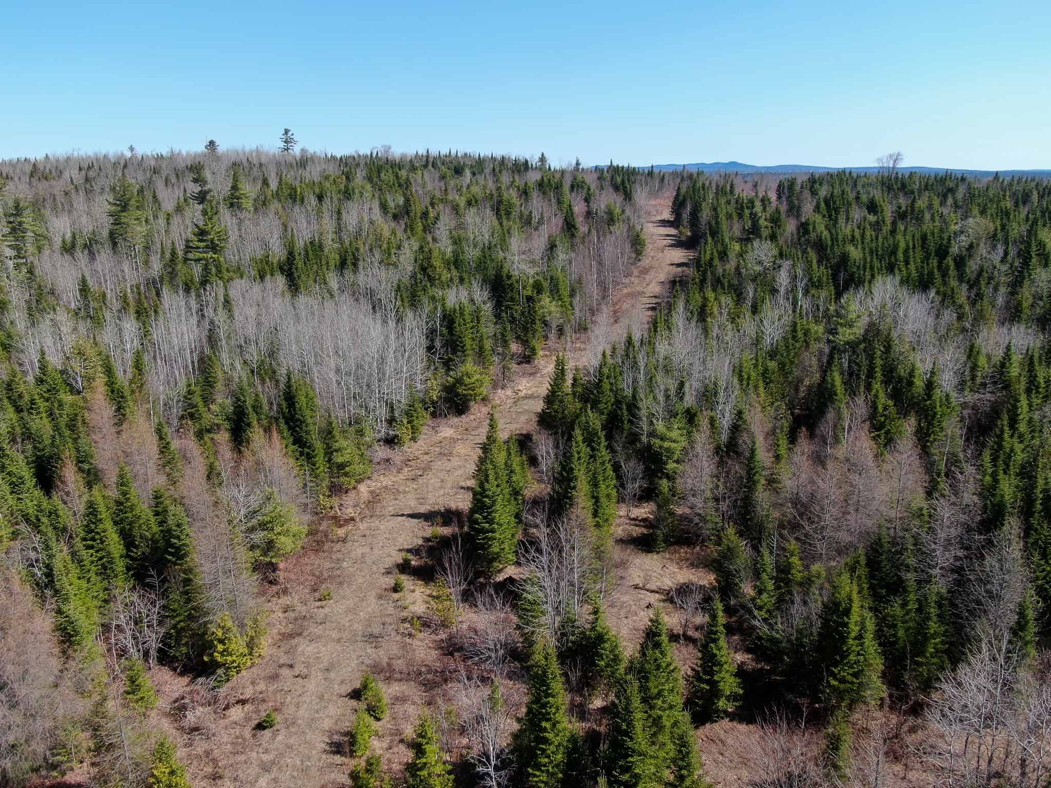 237 Acres of Prime Northern Maine Woods Land